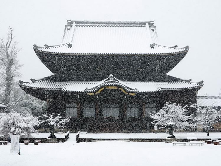 専修寺の冬