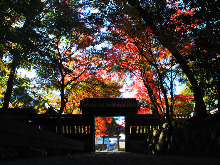 紅葉